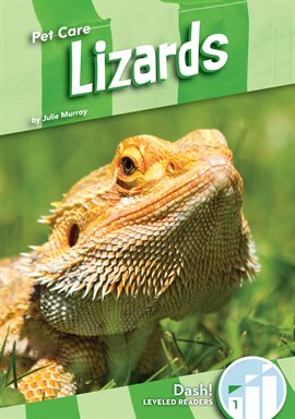 Cover image for Lizards