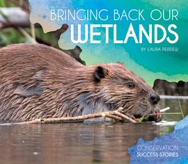 Cover image for Bringing Back Our Wetlands
