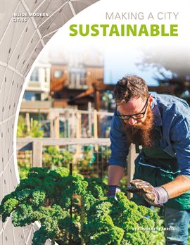 Cover image for Making a City Sustainable