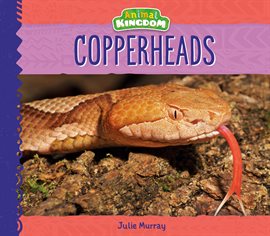 Cover image for Copperheads