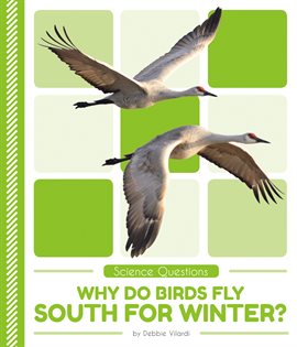 Cover image for Why Do Birds Fly South for Winter?