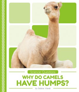 Cover image for Why Do Camels Have Humps?