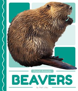 Imagen de portada para Beavers