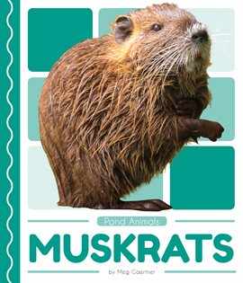 Imagen de portada para Muskrats