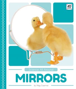 Cover image for Mirrors