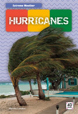 Cover image for Hurricanes