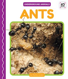 Cover image for Ants