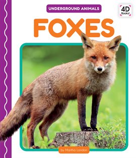Cover image for Foxes