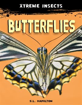 Cover image for Butterflies