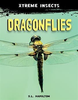 Cover image for Dragonflies