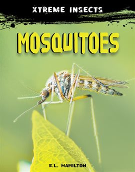 Imagen de portada para Mosquitoes