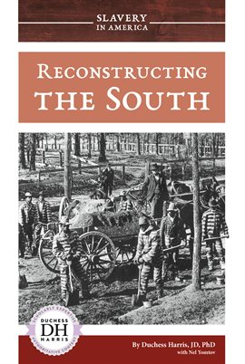 Cover image for Reconstructing the South