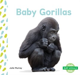 Cover image for Baby Gorillas