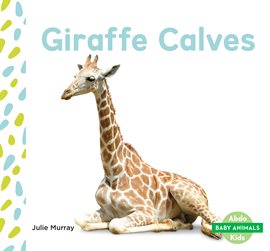 Cover image for Giraffe Calves
