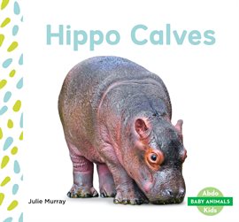 Cover image for Hippo Calves Set 2