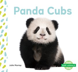 Cover image for Panda Cubs
