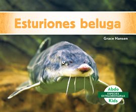 Cover image for Esturiones Beluga (Beluga Sturgeons)