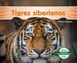 Cover image for Tigres siberianos (Siberian Tigers)