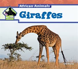 Cover image for Giraffes