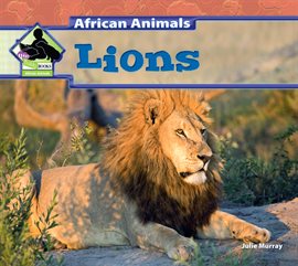 Cover image for Lions