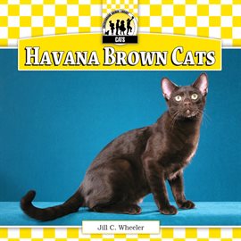 Cover image for Havana Brown Cats