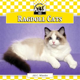 Cover image for Ragdoll Cats