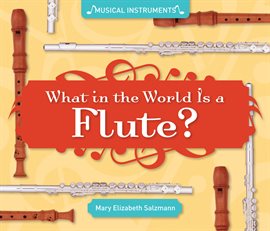 Cover image for What in the World Is a Flute?