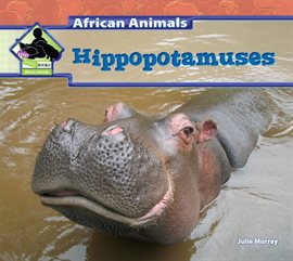 Cover image for Hippopotamuses