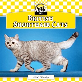 Imagen de portada para British Shorthair Cats