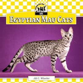 Imagen de portada para Egyptian Mau Cats
