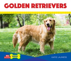 Cover image for Golden Retrievers