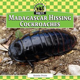 Cover image for Madagascar Hissing Cockroaches