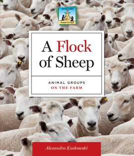 Cover image for Flock of Sheep