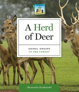 Cover image for Herd of Deer