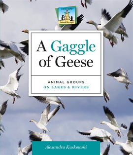 Cover image for Gaggle of Geese