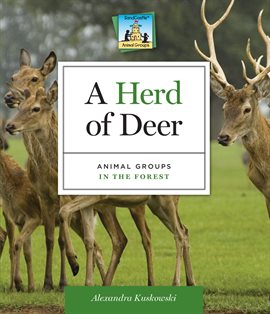 Cover image for Herd of Deer: Animal Groups in the Forest