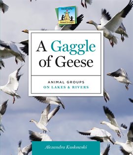 Cover image for Gaggle of Geese: Animal Groups on Lakes & Rivers