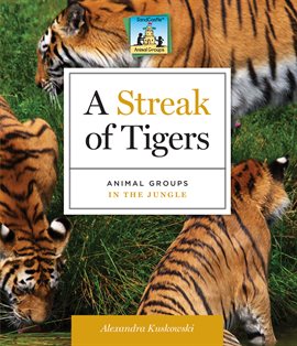 Cover image for Streak of Tigers: Animal Groups in the Jungle