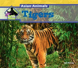 Cover image for Tigers