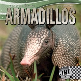 Cover image for Armadillos