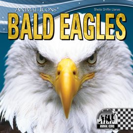 Cover image for Bald Eagles