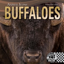 Cover image for Buffaloes