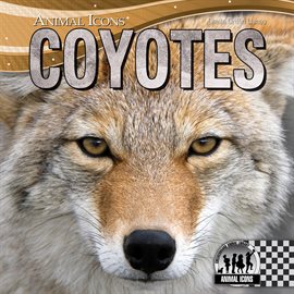 Cover image for Coyotes