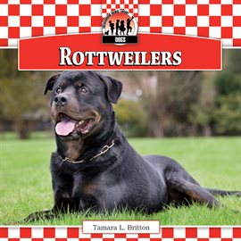 Cover image for Rottweilers