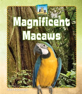Cover image for Magnificent Macaws