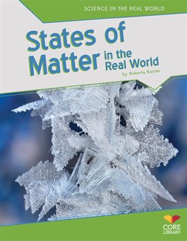 Cover image for States of Matter in the Real World