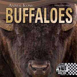 Imagen de portada para Buffaloes