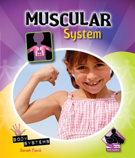 Cover image for Muscular System