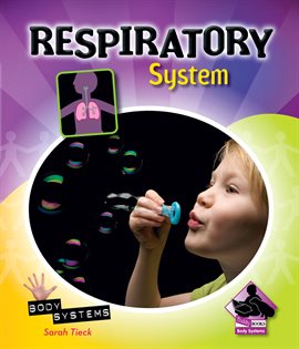 Cover image for Respiratory System