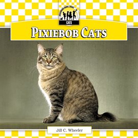 Imagen de portada para Pixiebob Cats